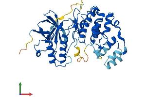 AlphaFold protein structure predicition of Mouse Recombinant Mapk13 Protein, UniprotID Q9Z1B7