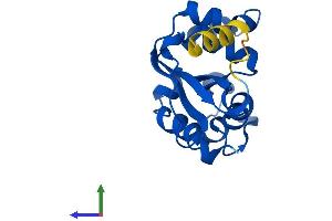 AlphaFold protein structure predicition of Mouse Recombinant Nme3 Protein, UniprotID Q9WV85
