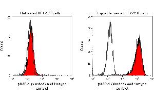 Flow Cytometry (FACS) image for anti-Tripartite Motif Containing 28 (TRIM28) (pSer824) antibody (ABIN7454038) (Recombinant KAP1 anticorps  (pSer824))