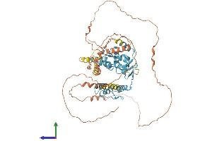 AlphaFold protein structure predicition of Human Recombinant ZBTB7A Protein, UniprotID O95365