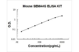Semaphorin 4G (SEMA4G) ELISA Kit