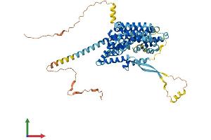 AlphaFold protein structure predicition of Mouse Recombinant Slc1a2 Protein, UniprotID P43006