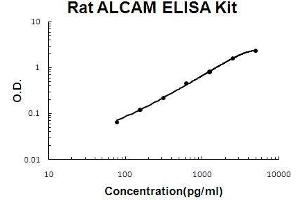 Rat ALCAM PicoKine ELISA Kit standard curve (CD166 Kit ELISA)