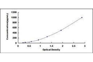 ELISA image for Regenerating Islet-Derived 3 alpha (REG3A) ELISA Kit (ABIN427639) (REG3A Kit ELISA)