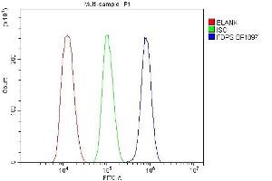 Flow Cytometry analysis of THP-1 cells using anti-FDPS antibody (ABIN7601131).