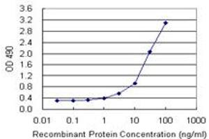 Sandwich ELISA detection sensitivity ranging from 1 ng/mL to 100 ng/mL. (HDAC3 (Humain) Matched Antibody Pair)