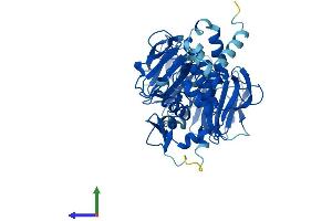 AlphaFold protein structure predicition of Human Recombinant RCBTB1 Protein, UniprotID Q8NDN9