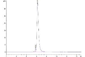 The purity of Biotinylated Human VEGF R2 is greater than 95 % as determined by SEC-HPLC.