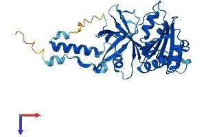 AlphaFold protein structure predicition of Human Recombinant CYB5RL Protein, UniprotID Q6IPT4