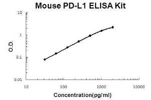 Mouse PD-L1/B7-H1 PicoKine ELISA Kit standard curve (PD-L1 Kit ELISA)