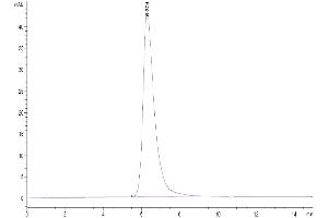 The purity of Human Nectin-3 is greater than 95 % as determined by SEC-HPLC.