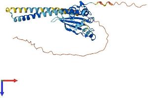 AlphaFold protein structure predicition of Human Recombinant TSPY3 Protein, UniprotID P0CV98