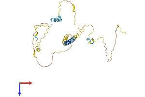 AlphaFold protein structure predicition of Mouse Recombinant Pmepa1 Protein, UniprotID Q9D7R2