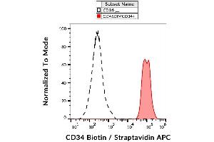 Surface staining of CD34+ cells in human peripheral blood with anti-CD34 (4H11[APG]) biotin / streptavidin-APC. (CD34 anticorps  (Biotin))