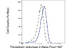 Validation of Thioredoxin reductase 2 knockdown using flow cytometry. (Recombinant TXNRD2 anticorps)