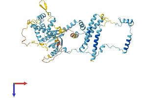 AlphaFold protein structure predicition of Human Recombinant GTF2H1 Protein, UniprotID P32780