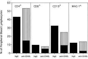 Anti-CD154-facilitated alloengraftment is multilineage.