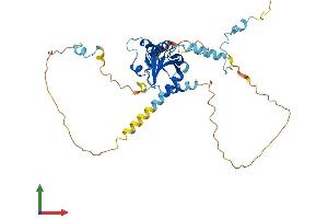 AlphaFold protein structure predicition of Mouse Recombinant Cep41 Protein, UniprotID Q99NF3