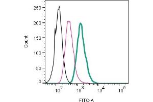 Cell surface detection of  by direct flow cytometry in live intact mouse  microglia cell line: + Rabbit IgG isotype control-FITC (ABIN7582044).