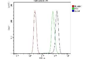 Flow Cytometry analysis of U937 cells using anti-PSD95/DLG4 antibody (ABIN7600355). (DLG4 anticorps  (AA 18-711))
