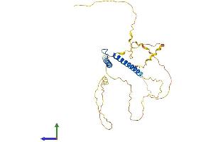 AlphaFold protein structure predicition of Mouse Recombinant Tal1 Protein, UniprotID P22091