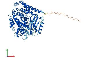 AlphaFold protein structure predicition of Human Recombinant TUBB1 Protein, UniprotID Q9H4B7