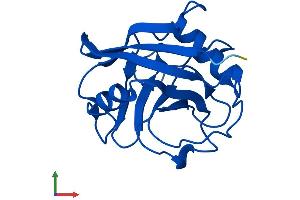 AlphaFold protein structure predicition of Human Recombinant PPIAL4C Protein, UniprotID A0A0B4J2A2