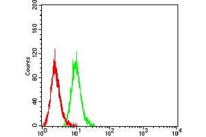 Flow cytometric analysis of Hela cells using CD66A mouse mAb (green) and negative control (red).