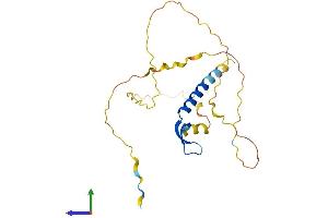 AlphaFold protein structure predicition of Mouse Recombinant Bcl7c Protein, UniprotID O08664