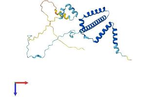 AlphaFold protein structure predicition of Human Recombinant RRP36 Protein, UniprotID Q96EU6