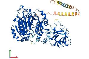AlphaFold protein structure predicition of Mouse Recombinant Galnt6 Protein, UniprotID Q8C7U7