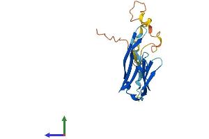 AlphaFold protein structure predicition of Mouse Recombinant Cryab Protein, UniprotID P23927