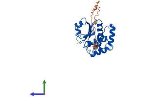 AlphaFold protein structure predicition of Mouse Recombinant Dusp15 Protein, UniprotID Q8R4V2