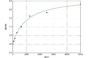 A typical standard curve