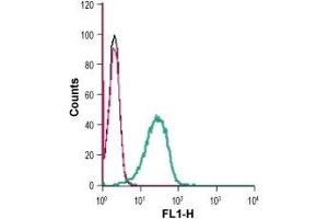 Cell surface detection of GPR34 in live intact mouse BV-2 microglia cells: (black line) Cells.
