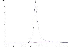 The purity of Cynomolgus Siglec-15 is greater than 95 % as determined by SEC-HPLC.