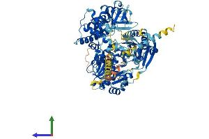 AlphaFold protein structure predicition of Mouse Recombinant Dhx40 Protein, UniprotID Q6PE54