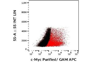 Detection of transfected LST-1-c-Myc in HEK-293 cells (red) compared with nontransfected HEK-293 cells (black) using mouse monoclonal anti-c-Myc (9E10) purified, GAM-APC. (Myc Tag anticorps  (C-Term))