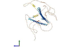 AlphaFold protein structure predicition of Mouse Recombinant Nup58 Protein, UniprotID Q8R332