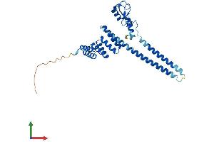 AlphaFold protein structure predicition of Human Recombinant STUB1 Protein, UniprotID Q9UNE7