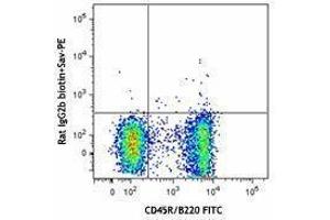 Flow Cytometry (FACS) image for anti-Chemokine (C-X-C Motif) Receptor 5 (CXCR5) antibody (Biotin) (ABIN2660750) (CXCR5 anticorps  (Biotin))