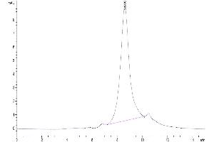 The purity of Cynomolgus DLL3 Protein is greater than 95 % as determined by SEC-HPLC.