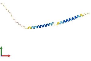 AlphaFold protein structure predicition of Mouse Recombinant Tceal7 Protein, UniprotID A3KGA4