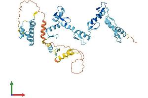 AlphaFold protein structure predicition of Human Recombinant ZNF736 Protein, UniprotID B4DX44
