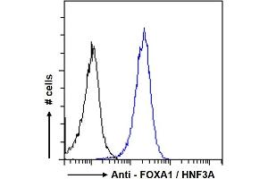 ABIN185021 Flow cytometric analysis of paraformaldehyde fixed MCF7 cells (blue line), permeabilized with 0. (FOXA1 anticorps  (C-Term))