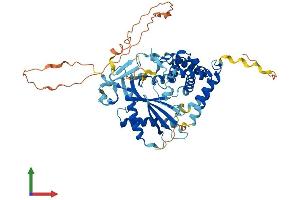 AlphaFold protein structure predicition of Mouse Recombinant Tmem102 Protein, UniprotID Q3UPR7