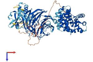 AlphaFold protein structure predicition of Mouse Recombinant Plaa Protein, UniprotID P27612