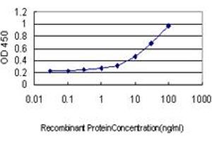 Detection limit for recombinant GST tagged GLUL is approximately 0. (GLUL anticorps  (AA 1-373))