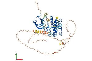 AlphaFold protein structure predicition of Human Recombinant CAMK1G Protein, UniprotID Q96NX5
