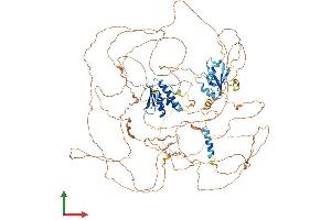 AlphaFold protein structure predicition of Mouse Recombinant R3hdm2 Protein, UniprotID Q80TM6